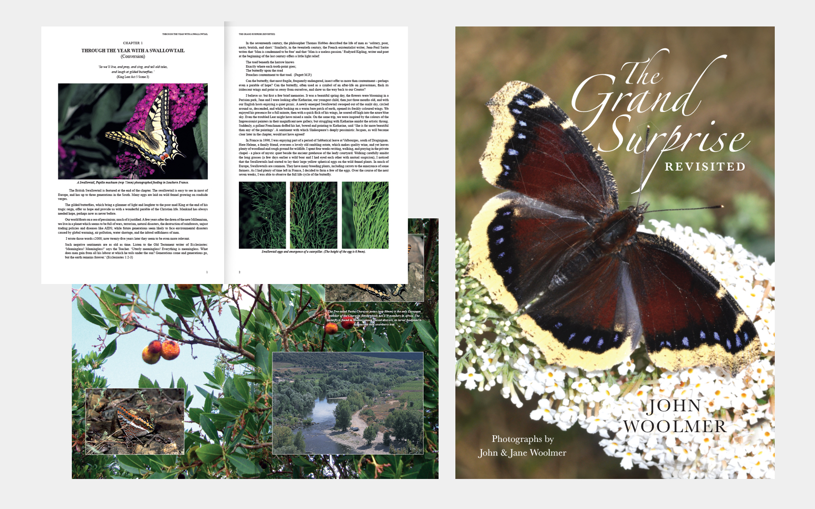 Complete design and typesettings for a butterfly book
