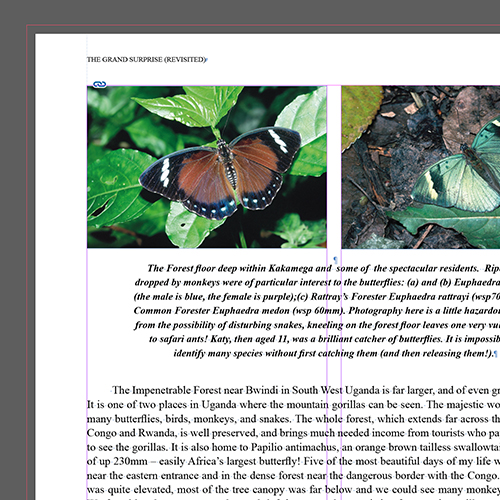 Artwork services for book printing